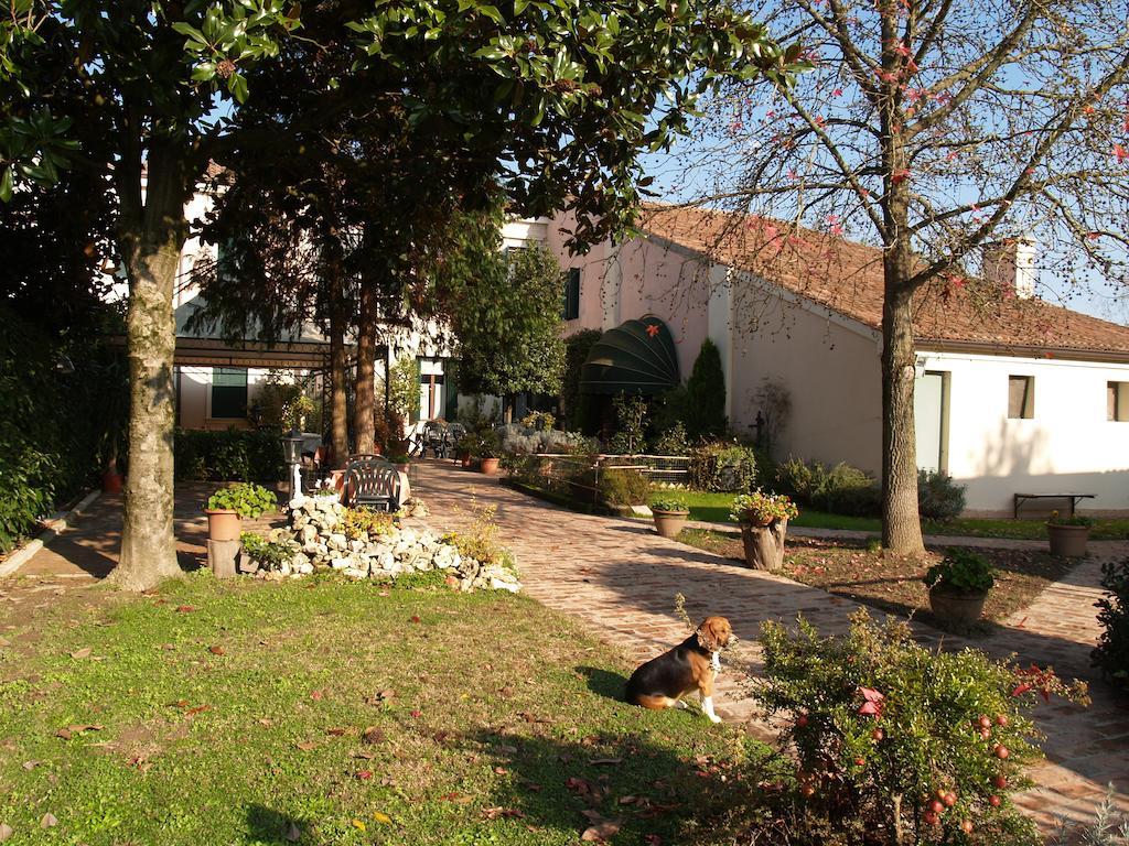 Agriturismo Le Clementine Badia Polesine Kültér fotó
